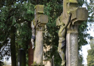 Vojenský hřbitov Josefov, Omnium, 2017