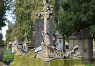 Vojenský hřbitov Josefov, Omnium, 2017