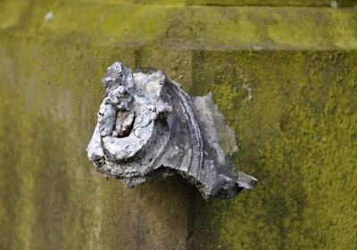 Vojenský hřbitov Josefov, Omnium, 2017