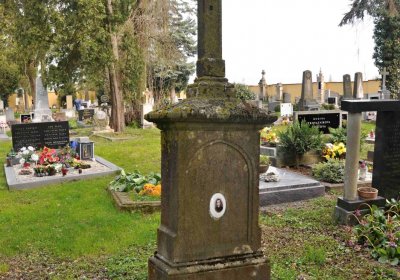 Vojenský hřbitov Josefov, Omnium, 2017