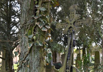 Vojenský hřbitov Josefov, Omnium, 2017