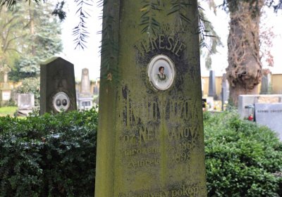 Vojenský hřbitov Josefov, Omnium, 2017