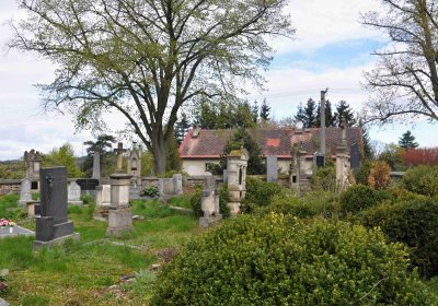 Hřbitov Zaloňov, Omnium, 2017