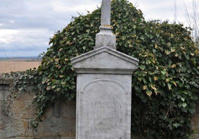 Hřbitov Zaloňov, Omnium, 2017