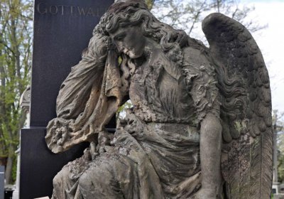 Hřbitov Zaloňov, Omnium, 2017