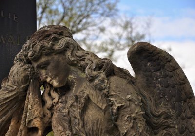 Hřbitov Zaloňov, Omnium, 2017