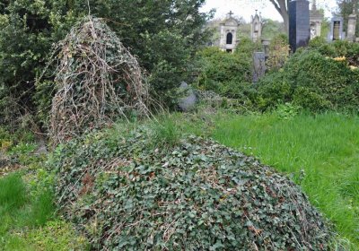 Hřbitov Zaloňov, Omnium, 2017