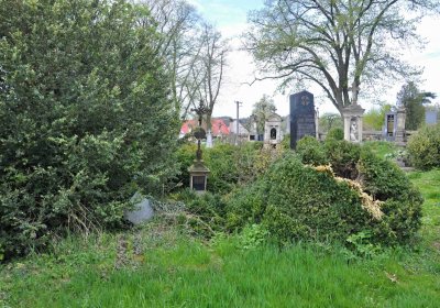 Hřbitov Zaloňov, Omnium, 2017