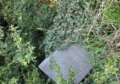 Hřbitov Zaloňov, Omnium, 2017