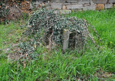 Hřbitov Zaloňov, Omnium, 2017