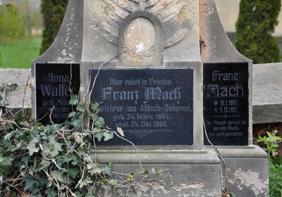 Hřbitov Zaloňov, Omnium, 2017