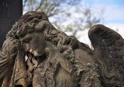 Hřbitov Zaloňov, Omnium, 2017