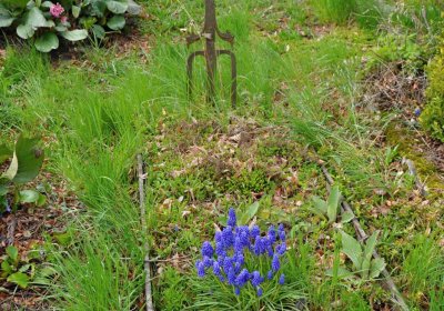 Hřbitov Zaloňov, Omnium, 2017