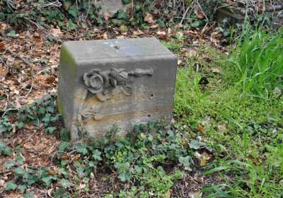 Hřbitov Zaloňov, Omnium, 2017