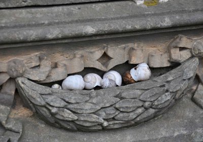 Hřbitov Zaloňov, Omnium, 2017