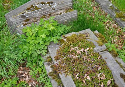 Hřbitov Zaloňov, Omnium, 2017