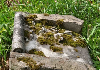 Hřbitov Zaloňov, Omnium, 2017