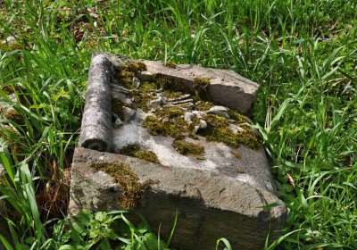 Hřbitov Zaloňov, Omnium, 2017