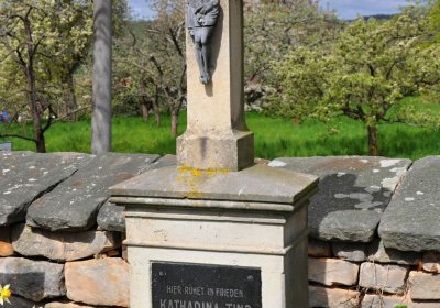 Hřbitov Zaloňov, Omnium, 2017