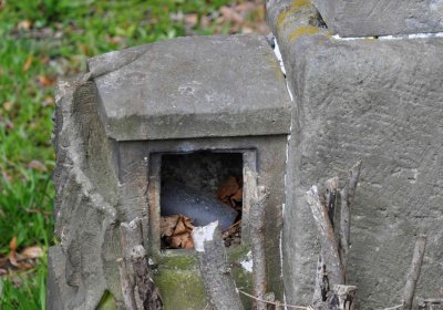 Hřbitov Zaloňov, Omnium, 2017