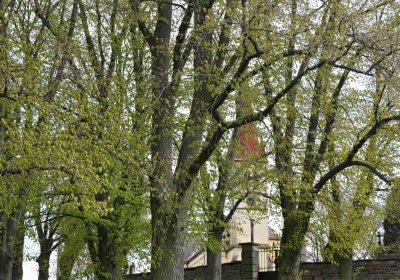 Hřbitov Zaloňov, Omnium, 2017