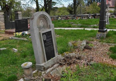 Hřbitov Zaloňov, Omnium, 2017