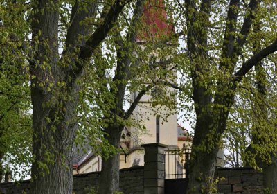 Hřbitov Zaloňov, Omnium, 2017