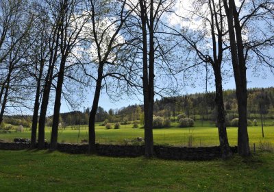 Hřbitov Holčovice, Omnium, 2017