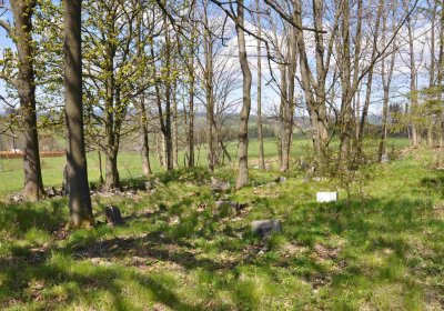 Hřbitov Dlouhá Ves, Omnium, 2017