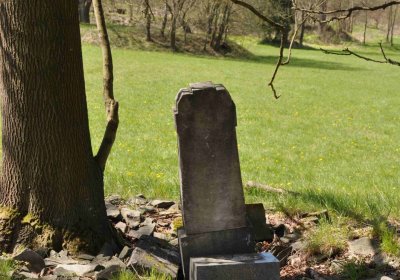 Hřbitov Dlouhá Ves, Omnium, 2017