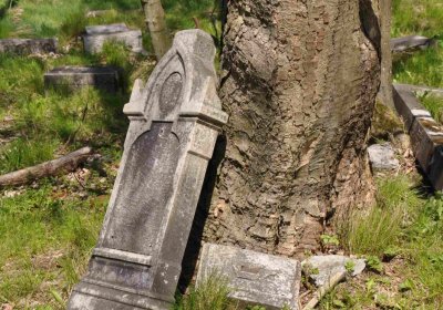 Hřbitov Dlouhá Ves, Omnium, 2017