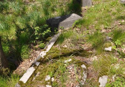 Hřbitov Dlouhá Ves, Omnium, 2017