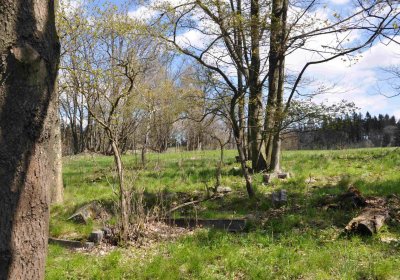 Hřbitov Dlouhá Ves, Omnium, 2017