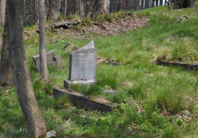 Hřbitov Dlouhá Ves, Omnium, 2017