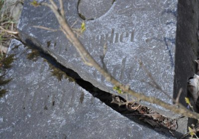 Hřbitov Dlouhá Ves, Omnium, 2017