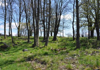 Hřbitov Dlouhá Ves, Omnium, 2017