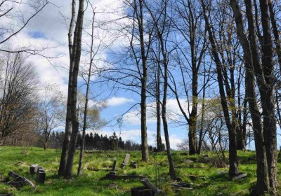 Hřbitov Dlouhá Ves, Omnium, 2017