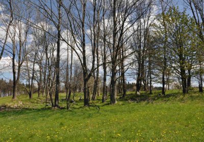 Hřbitov Dlouhá Ves, Omnium, 2017