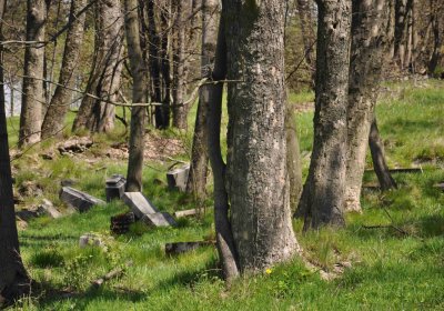 Hřbitov Dlouhá Ves, Omnium, 2017