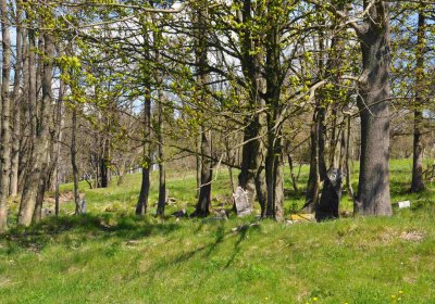 Hřbitov Dlouhá Ves, Omnium, 2017