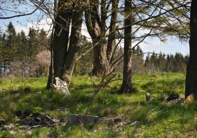 Hřbitov Dlouhá Ves, Omnium, 2017