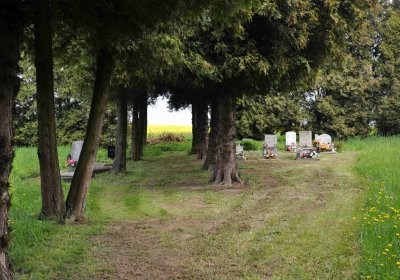 Hřbitov Matějovice, Omnium, 2017