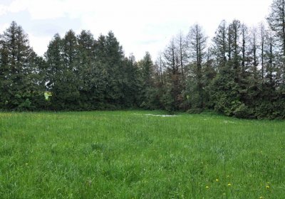 Hřbitov Matějovice, Omnium, 2017