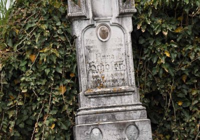 Hřbitov Hrozová, Omnium, 2017