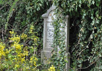 Hřbitov Hrozová, Omnium, 2017