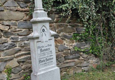 Hřbitov Hrozová, Omnium, 2017