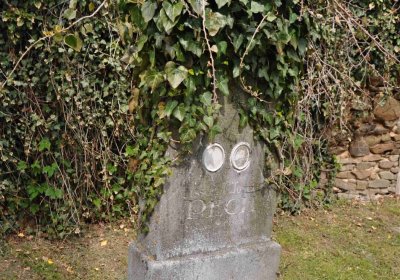 Hřbitov Hrozová, Omnium, 2017