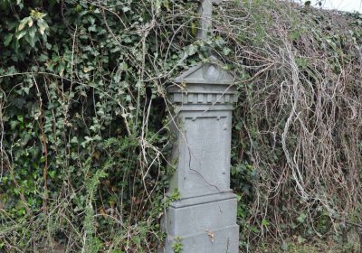 Hřbitov Hrozová, Omnium, 2017