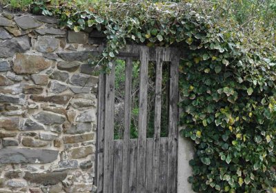 Hřbitov Hrozová, Omnium, 2017