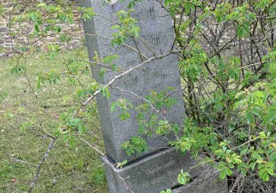 Hřbitov Hrozová, Omnium, 2017